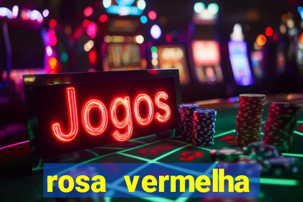 rosa vermelha (letra e cifra)